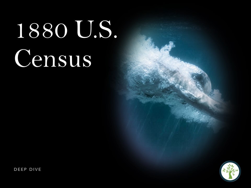 1880 U.S. Census, Genealogy Records, Genealogical Presentations