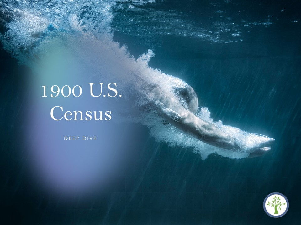 1900 U.S. Census, Genealogy Records, Genealogical Presentations