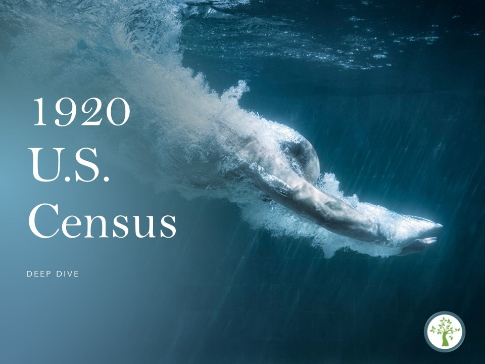 1920 U.S. Census, Genealogy Records, Genealogical Presentations