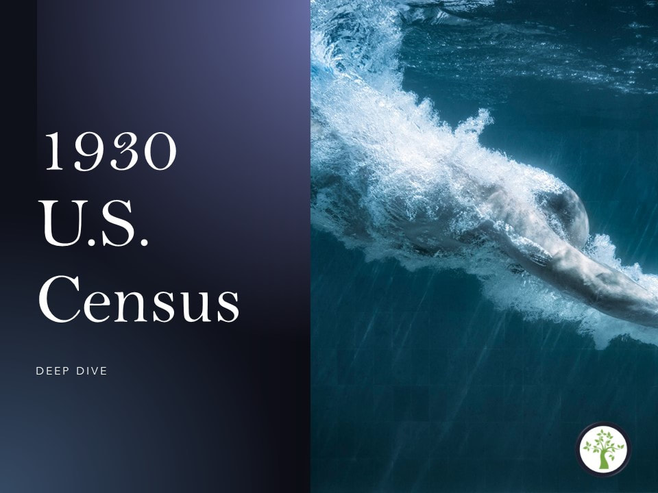 1930 U.S. Census, Genealogy Records, Genealogical Presentations