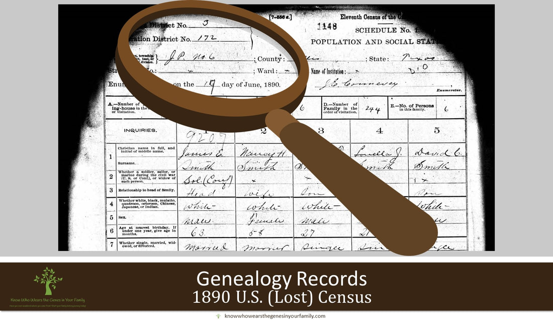 1890 U.S. Census Record and Resource with Magnifying Glass and Text in Light Gray