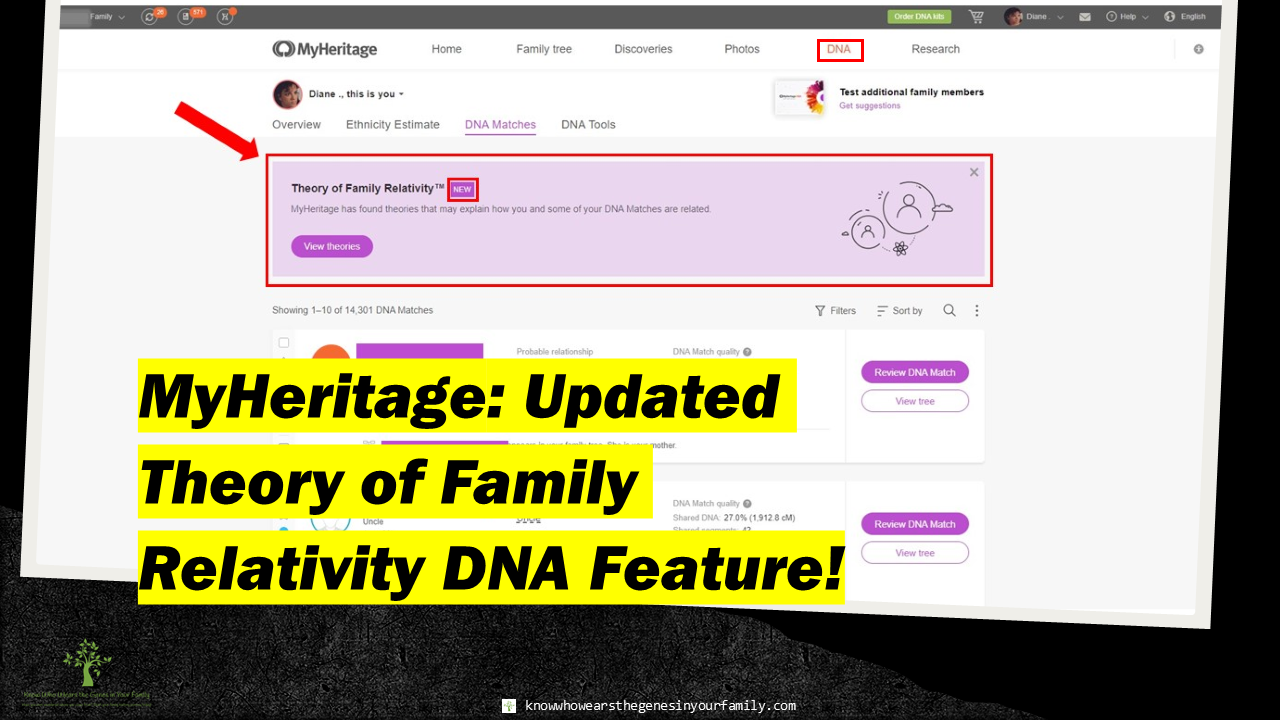 New at MyHeritage, MyHeritage Updates, MyHeritage Features, MyHeritage Theory of Family Relativity, Genealogy and DNA Tools, Genealogy Resources, MyHeritage DNA 
