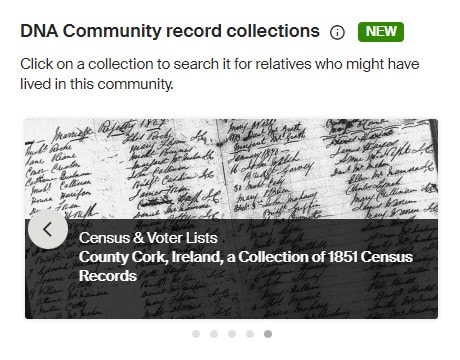 Ancestry DNA Community Record Collections-Munster, Ireland Genealogy Research 5