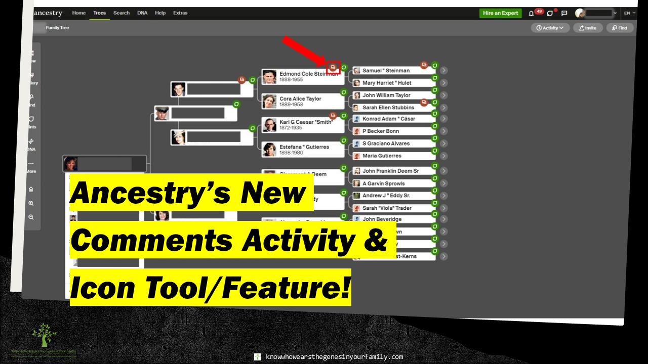 Ancestry Updates, Ancestry Features, New at Ancestry, Genealogy Tools, Genealogy Resources, Ancestry Family Tree Tools 