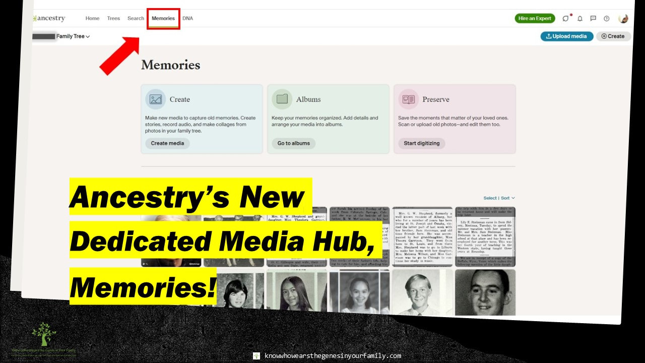 New at Ancestry, Ancestry Updates and Features, Family History Photo and Media Tools