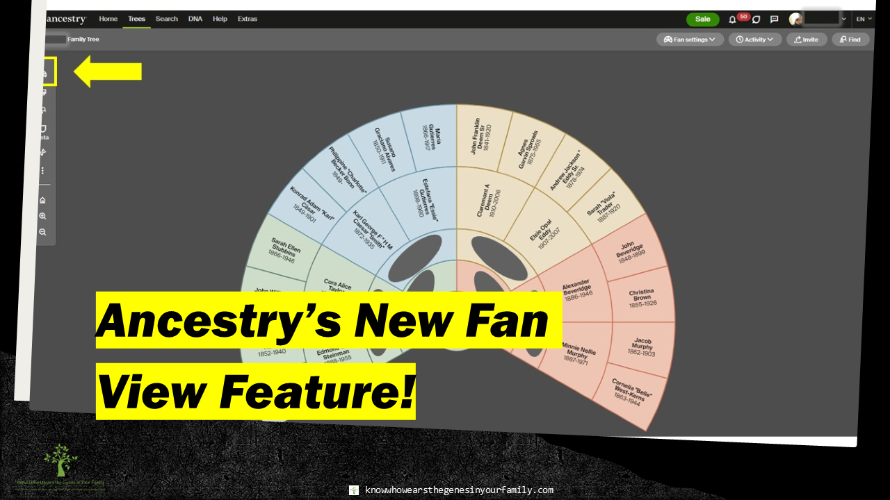 Ancestry Features and New Updates, Ancestry New Family Tree Fan View