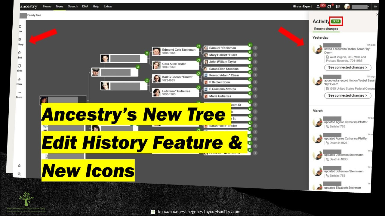 Ancestry Features, Ancestry Tree Edit History Tool, Genealogy Tools
