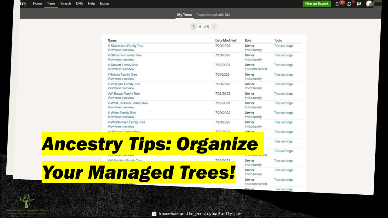Ancestry Tips,Ancestry Managed Trees,Organizing Ancestry Managed Trees,Naming and Labeling Ancestry Family Trees