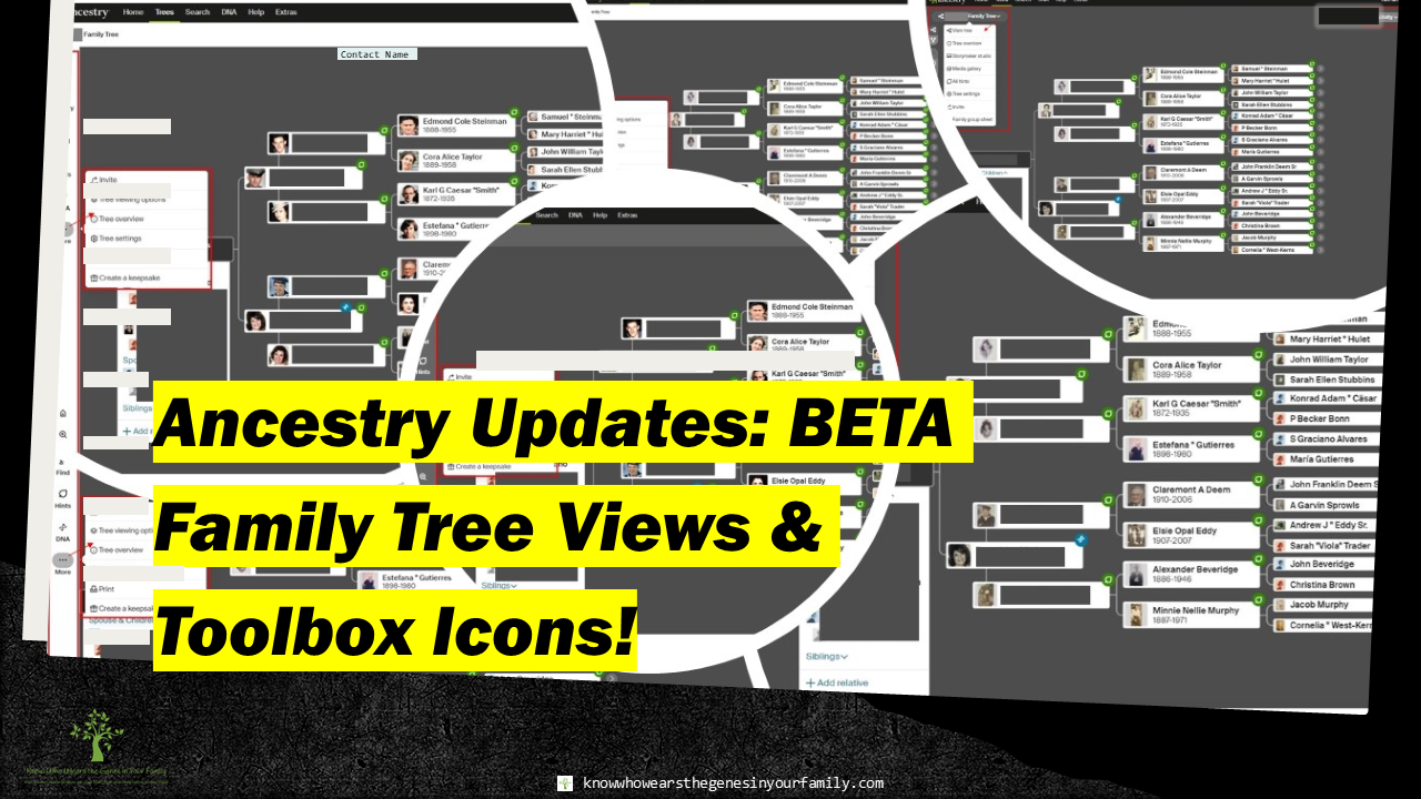 Ancestry Updates, Ancestry Features, New at Ancestry, Genealogy Tools, Genealogy Resources, Ancestry BETA Features, Ancestry Family Trees 