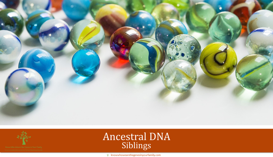 Ancestral DNA, Different DNA for Siblings, Different Ethnicity Results in Siblings, Genetic Differences in Family, Colored Marbles with text