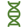 DNA Research, Genealogy Research, Genetic Genealogy, Green DNA Helix