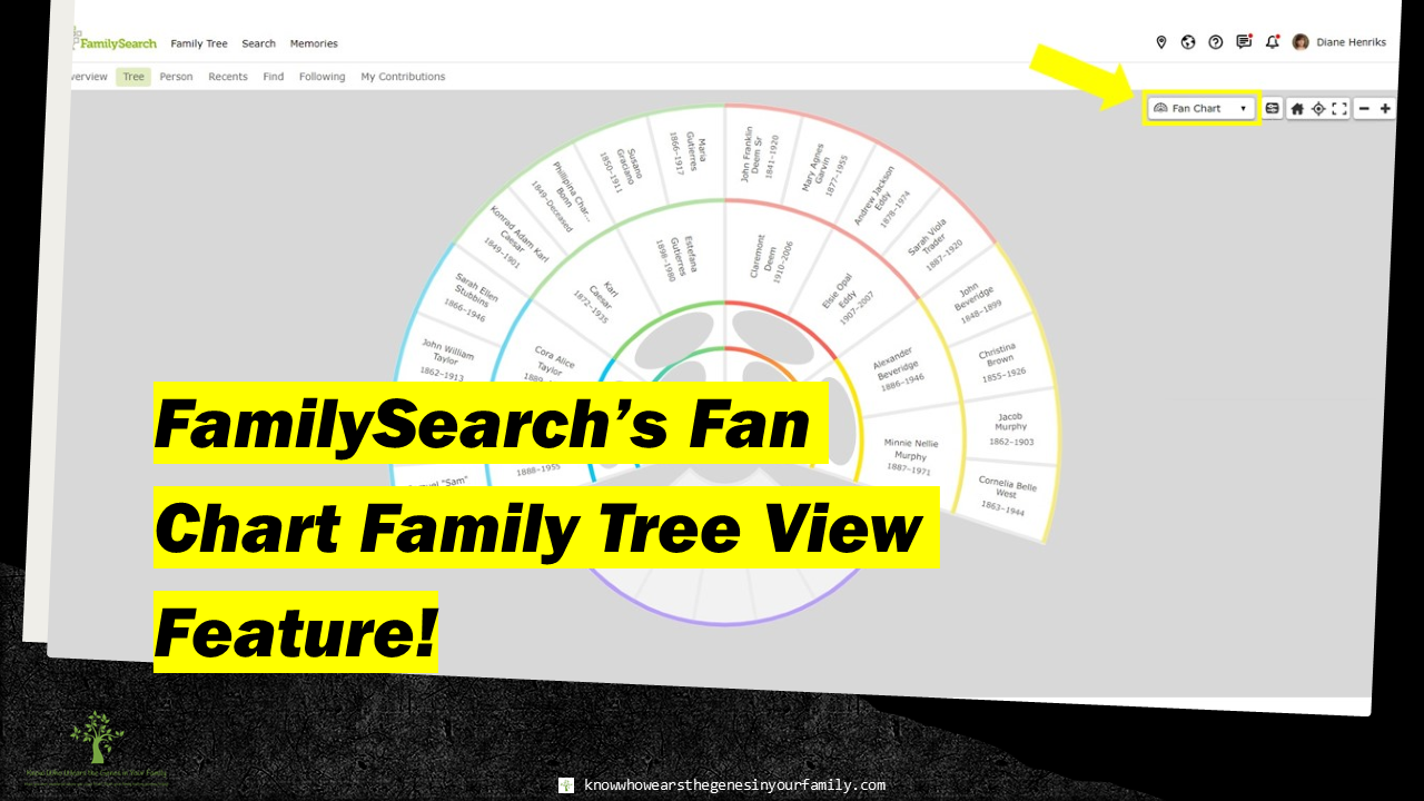 FamilySearch Features and Tools, Family Tree Charts, Fan Charts 