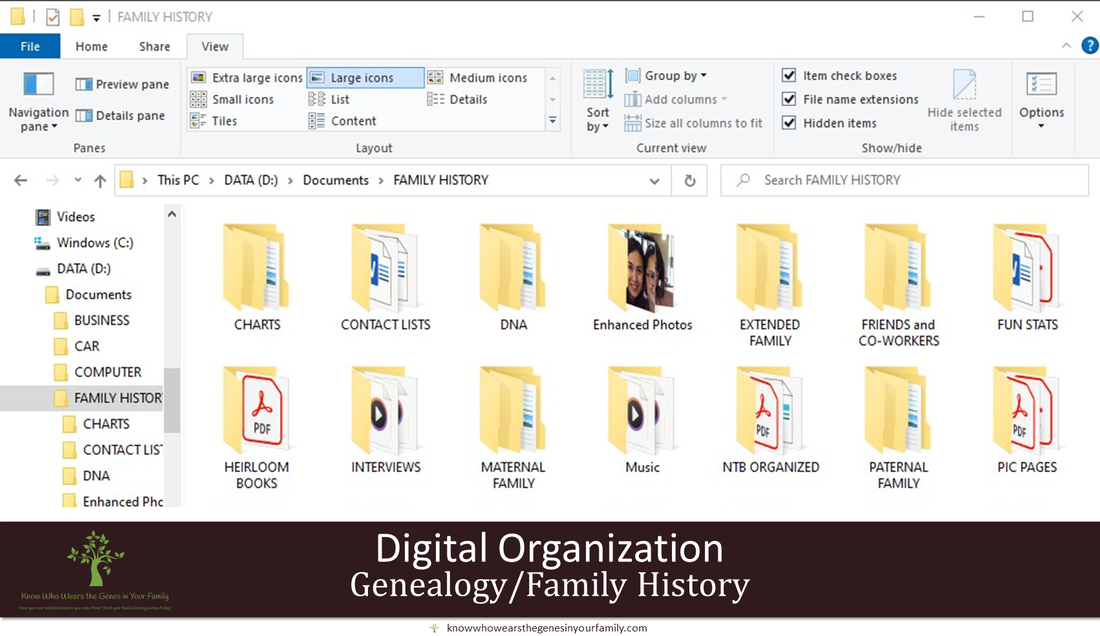 Genealogy, Family History, Organization, Files, Digital, Backup, Computer