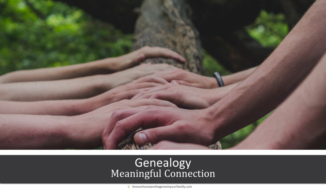 Connect with Genealogy, Emotional Genealogy, Family History Research, Hands on Tree Branch 