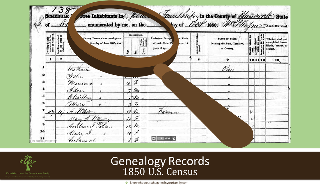 Closer Look 1850 U.S. Census Golden Genealogy Record