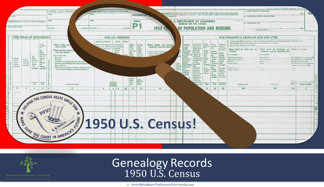 1950 U.S. Census Record and Resource with Magnifying Glass and Text in Red and Blue American Flag Colors