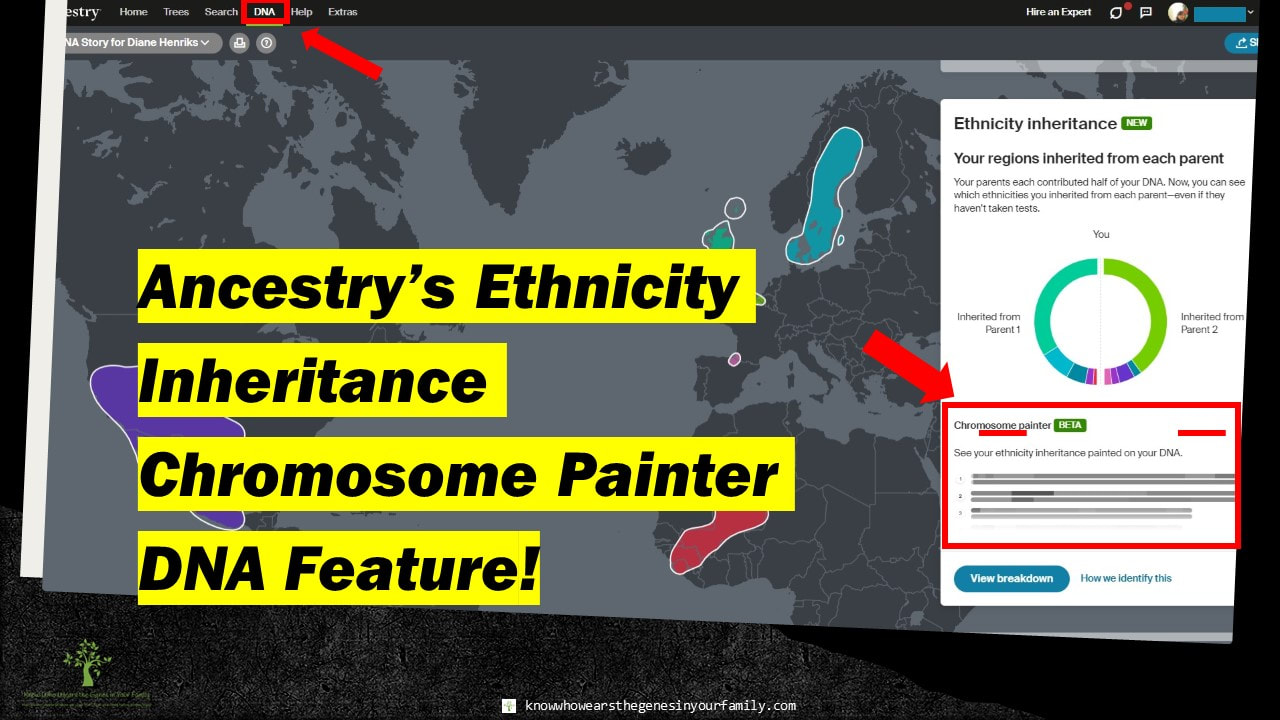 AncestryDNA Ethnicity Inheritance Chromosome Painter Genealogy Feature and Tool Resource with Screeshot and Text