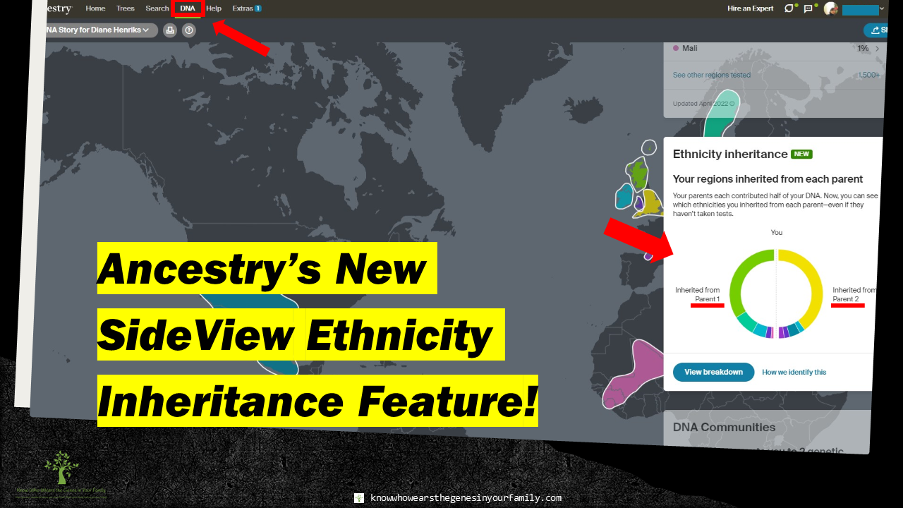 AncestryDNA Ethnicity Split by Parent Genealogy Feature and Tool Resource with Screeshot and Text