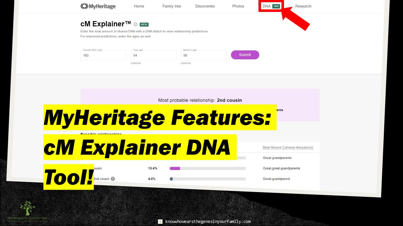 MyHeritage Features, Genetic Genealogy Tools, DNA Tools, Relationship Probability Tools
