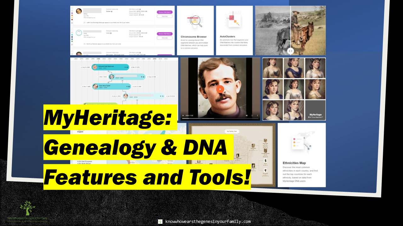 MyHeritage Features, Genealogy Resources, Photo Tools, Genetic Genealogy Tools, DNA Genealogy Tools, Family History Site