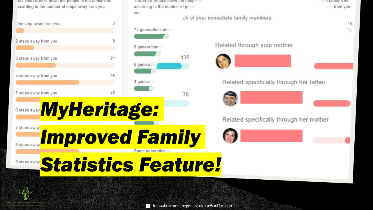 MyHeritage Updated Family Statistics Feature, Genealogy Tools and Resources, Genealogy Analytics and Charts