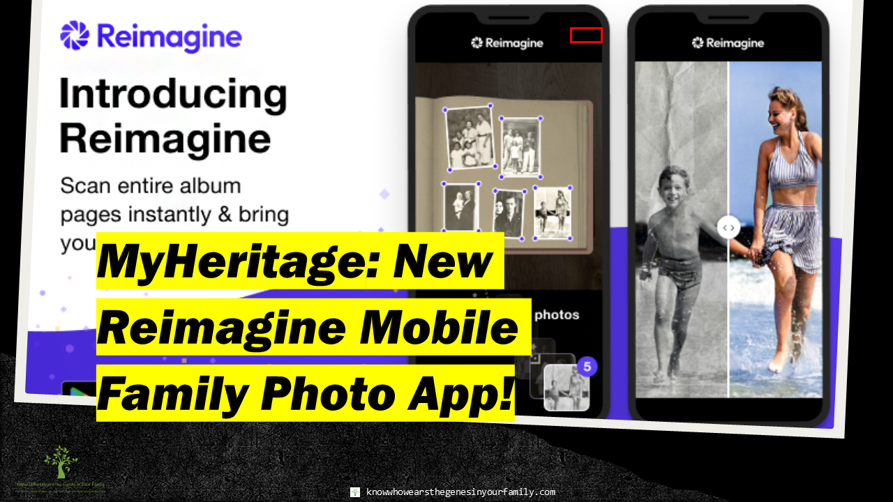 New at MyHeritage, MyHeritage Updates, MyHeritage Features, MyHeritage Photo Tools, MyHeritage Reimagine Photo App, Genealogy Resources 