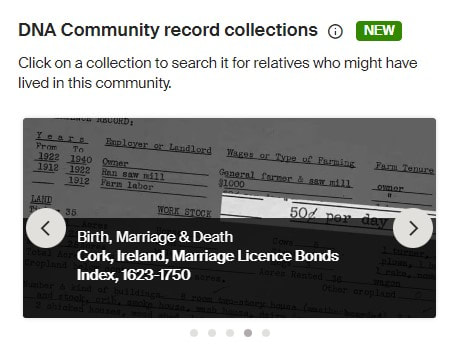 Ancestry DNA Community Record Collections-Munster, Ireland Genealogy Research 4