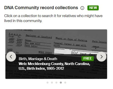 Ancestry DNA Community Record Collections-South Carolina African Americans 4